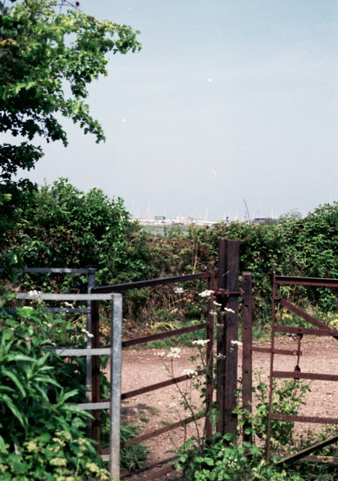 a gated area with a horse in the background silt fences construction site erosion control