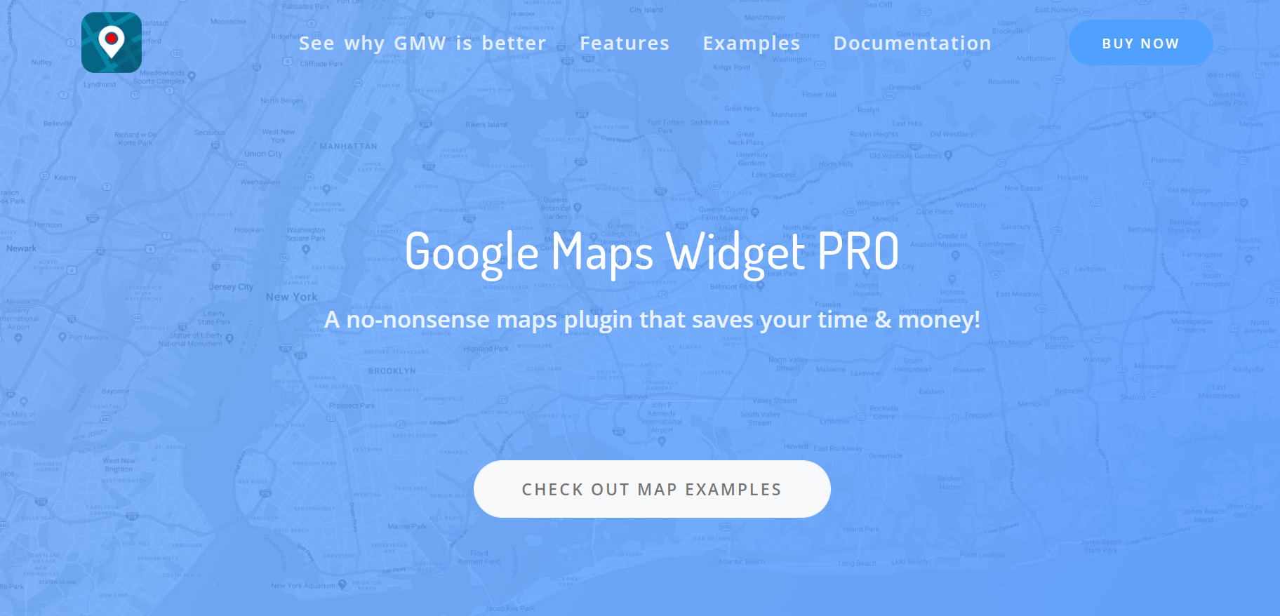 Google Maps Widget 
