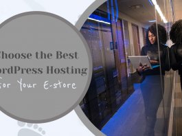How to Choose the Best WordPress Hosting for Your E-store