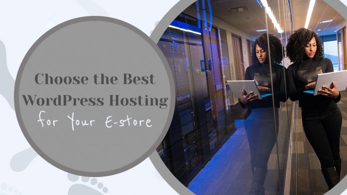 How to Choose the Best WordPress Hosting for Your E-store