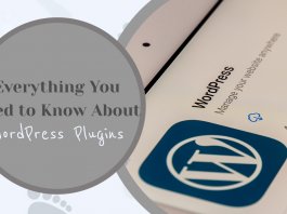Everything You Need to Know About WordPress Plugins