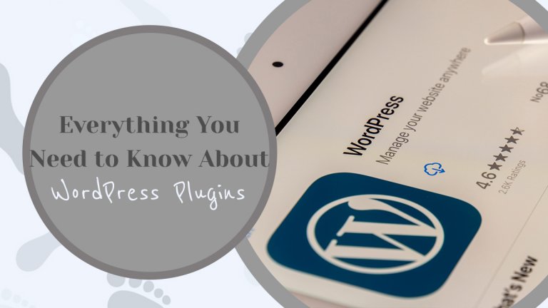 Everything You Need to Know About WordPress Plugins