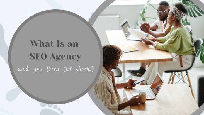 What Is an SEO Agency and How Does It Work?