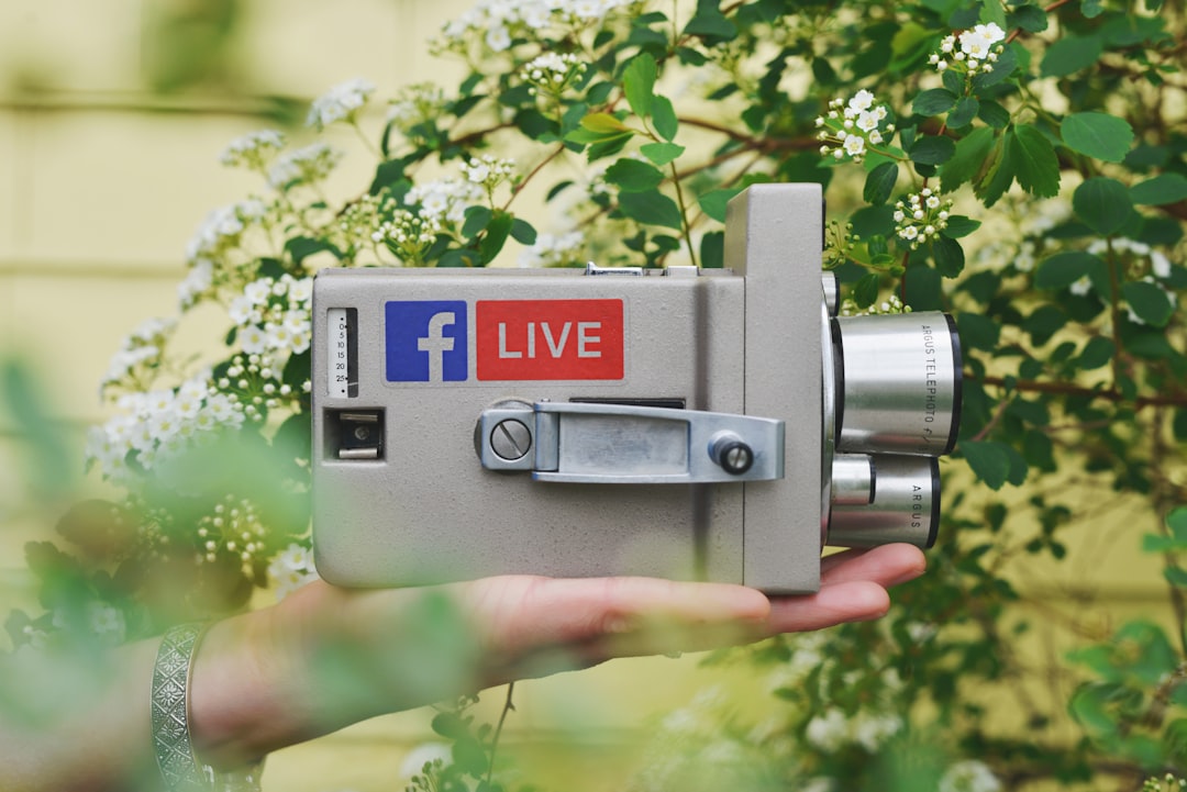 person holding gray video camera near green leaf plant during daytime social media search profile