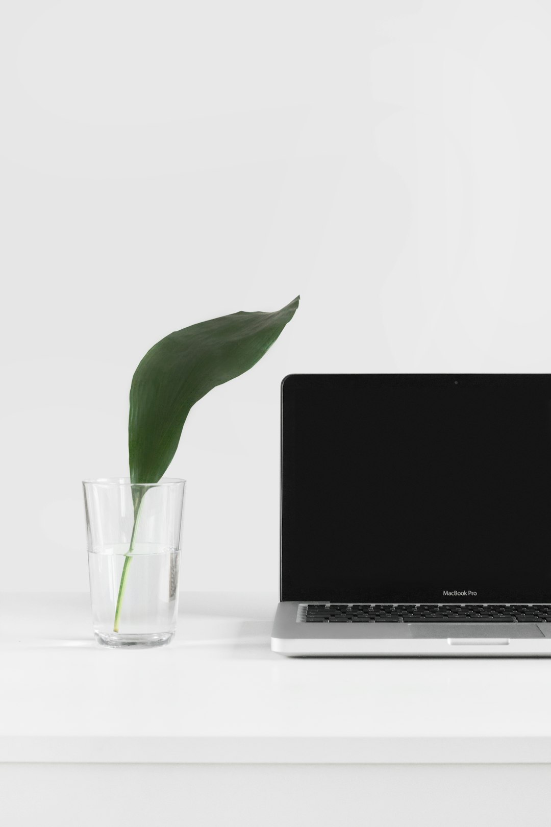Why Everyone Is Talking About Neuralink 2 macbook pro beside plant in vase elon musk futurist brain computer interface