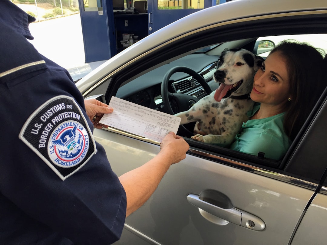 A Complete Guide to SSL Certs: What They Are, Why You Need Them, and How to Choose 3 woman in green shirt holding white and black short coated dog ssl checklist certificate install secure browser