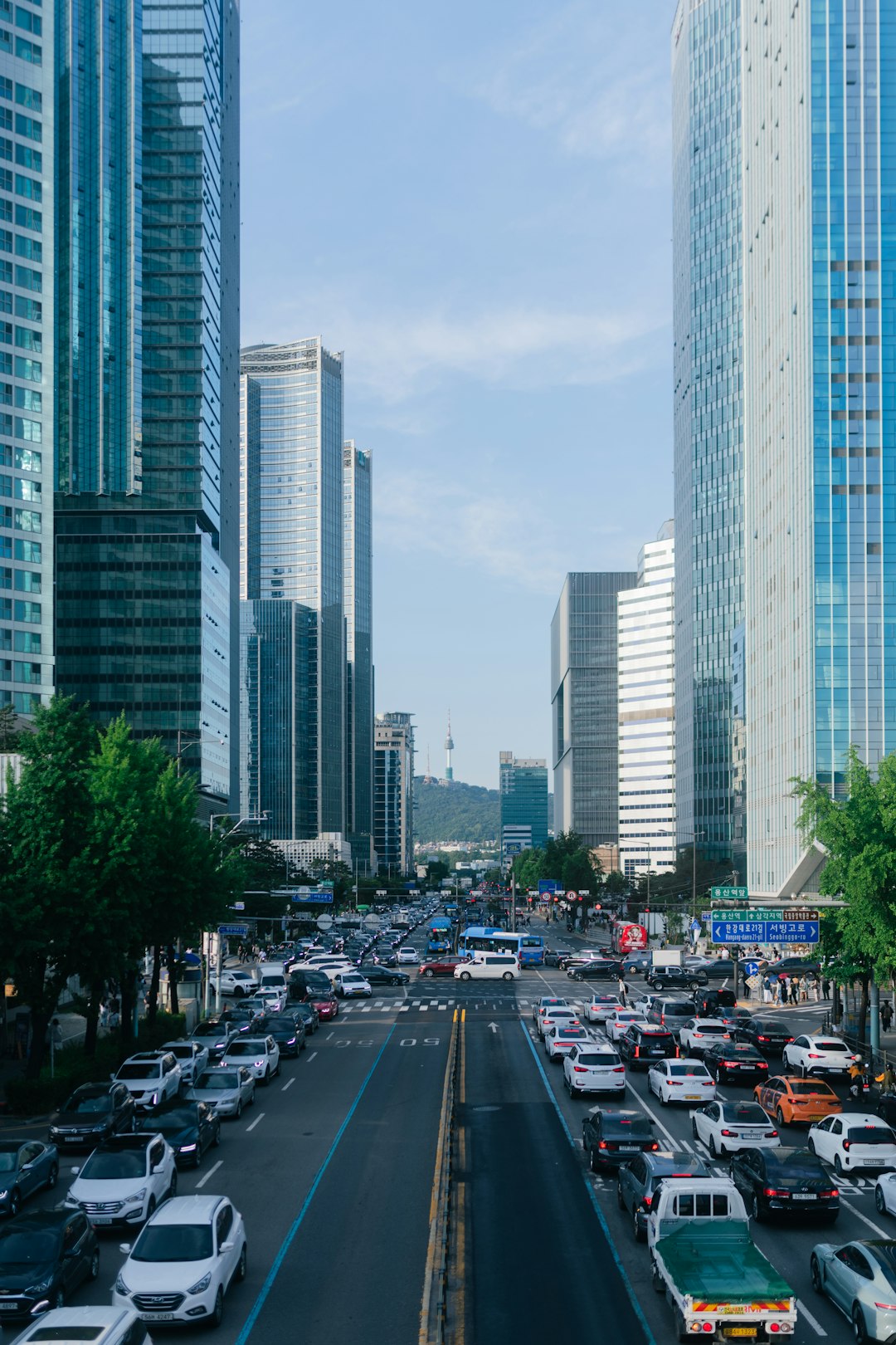 Apex Traffic vs ClickSEO: Which One Is Right for Your Business? 1 city traffic jams between tall skyscrapers seo chart traffic growth marketing agency