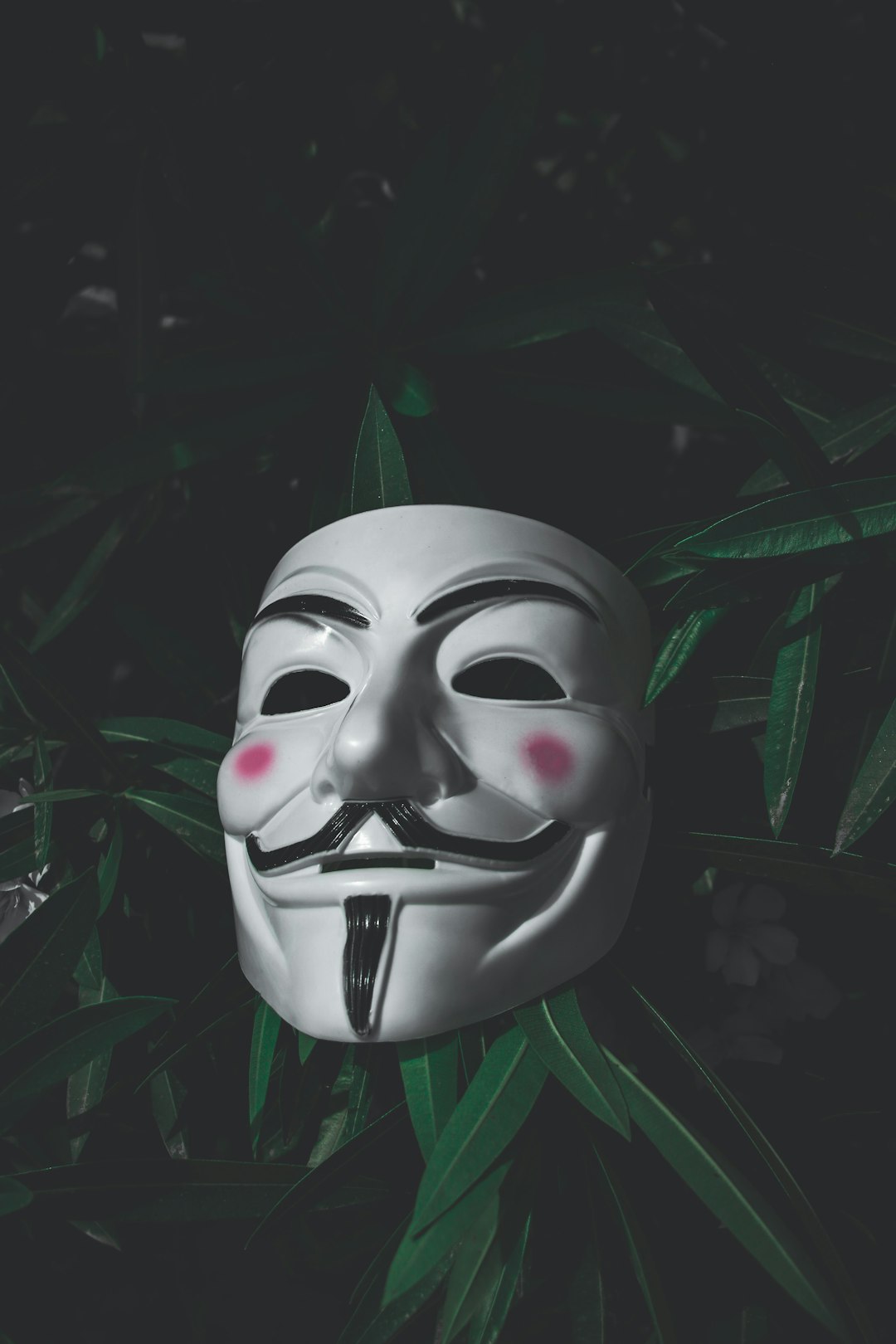 a mask on a plant vpn computer privacy anonymous internet