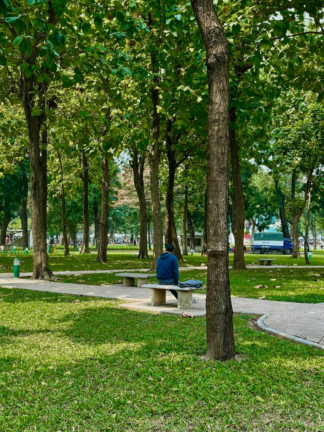AI Landscape Design: Transforming Architecture and Urban Planning 2 a person sitting on a bench in a park green spaces public parks eco friendly city