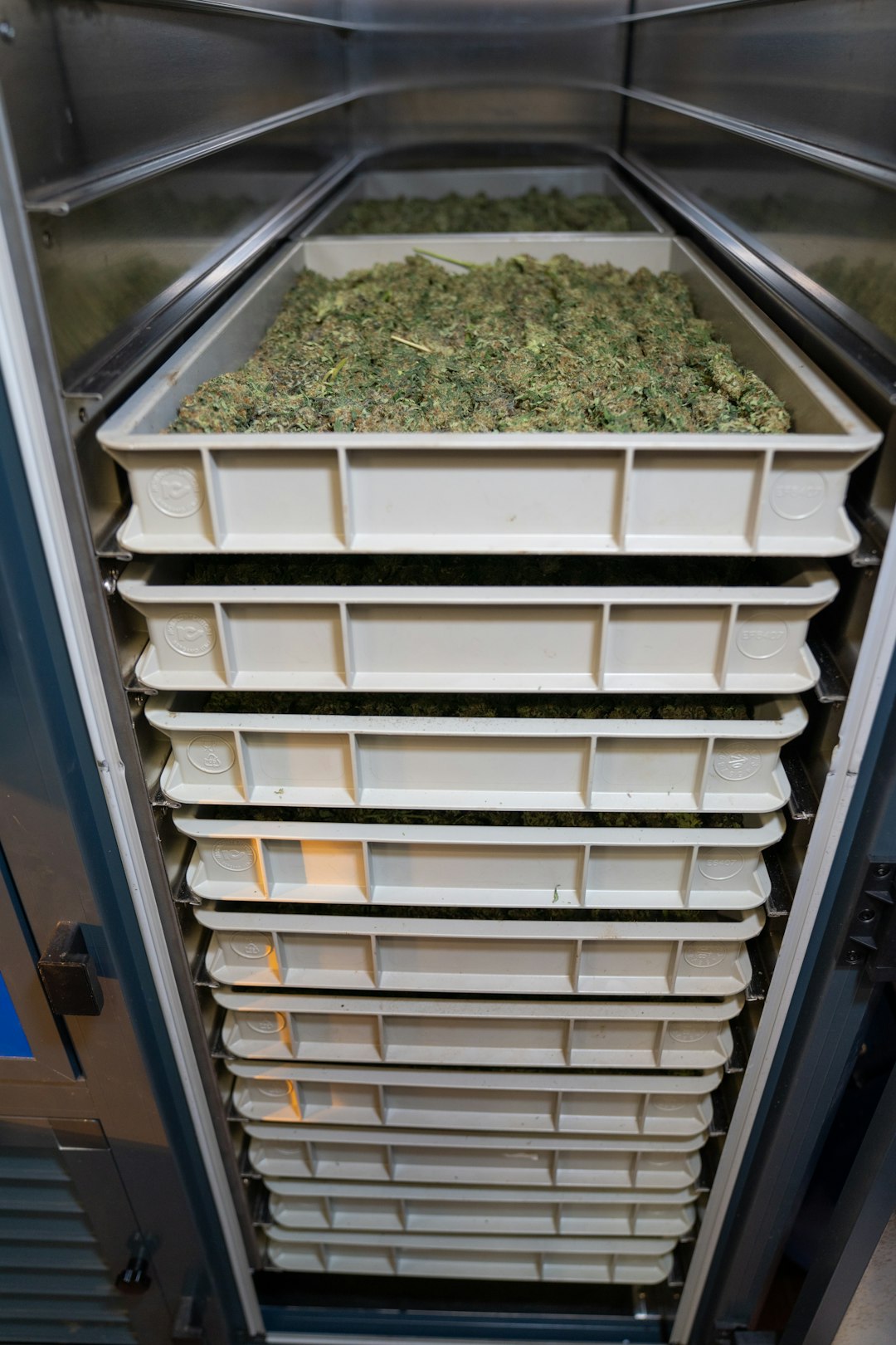 a bunch of plastic containers stacked on top of each other cannabis concentrate storage silicone containers cannabis freezer 1