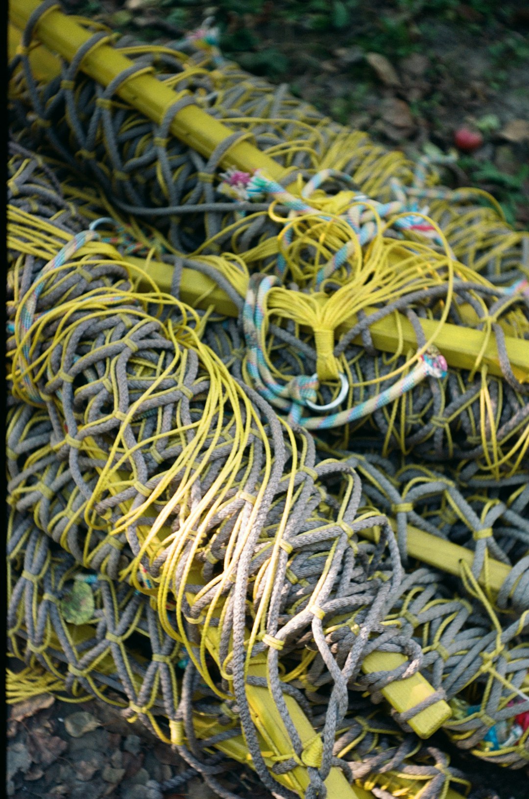 a pile of yellow and gray ropes on the ground cable labels network cables server room 1