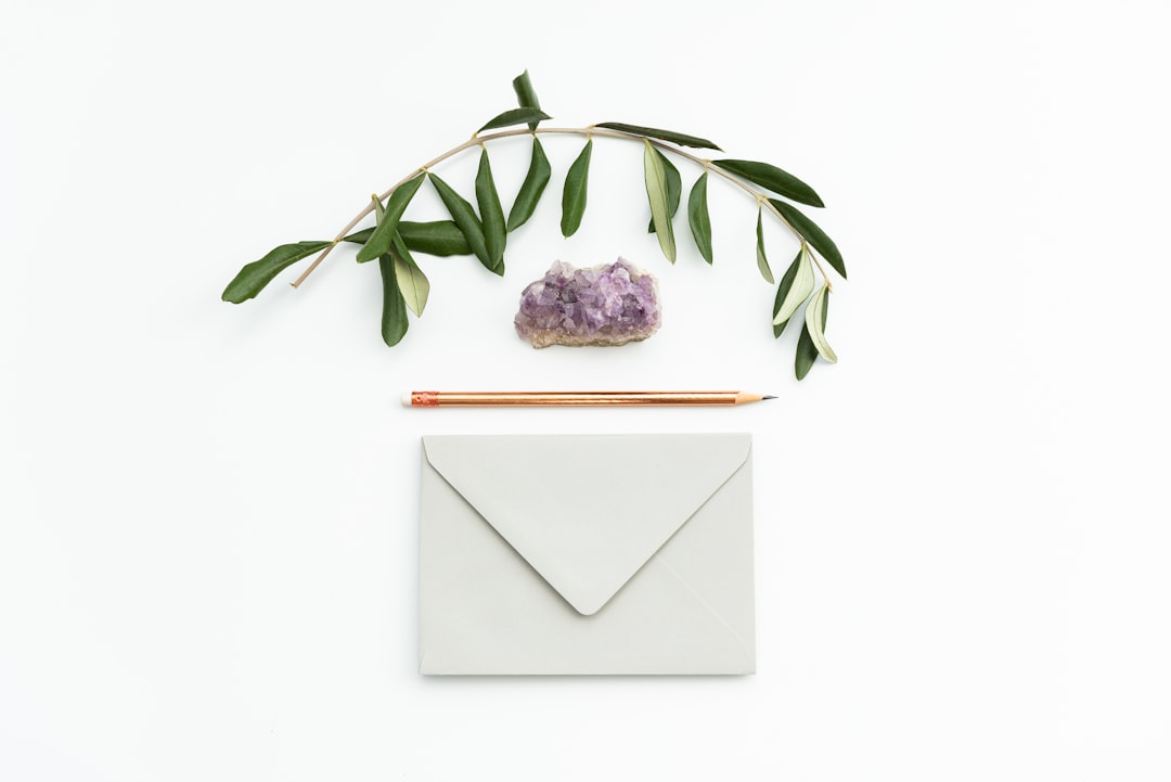 green leaves on white paper email design minimal inbox creative interface