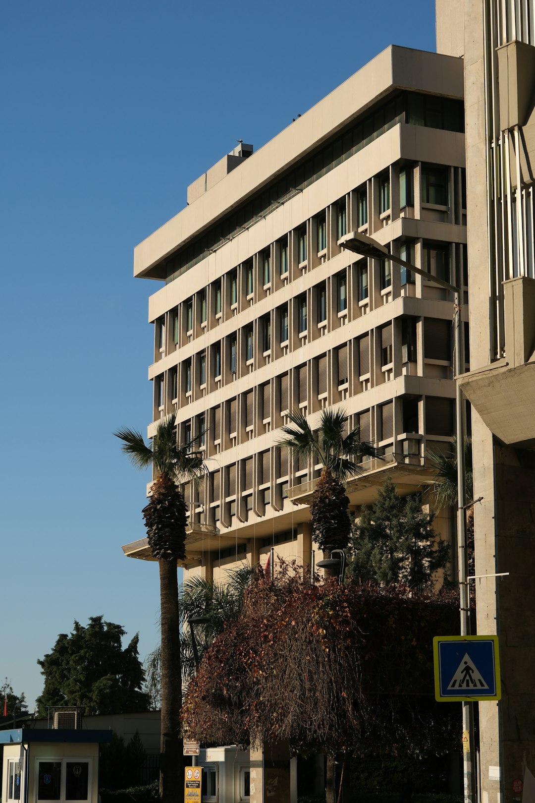 modern building with palm trees and blue sky cyprus cysec building government authority crypto licensing process