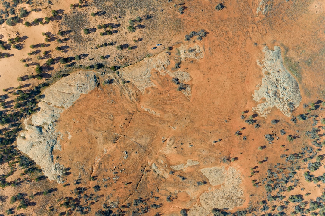 an aerial view of a barren area with trees image tiling detail preservation satellite image