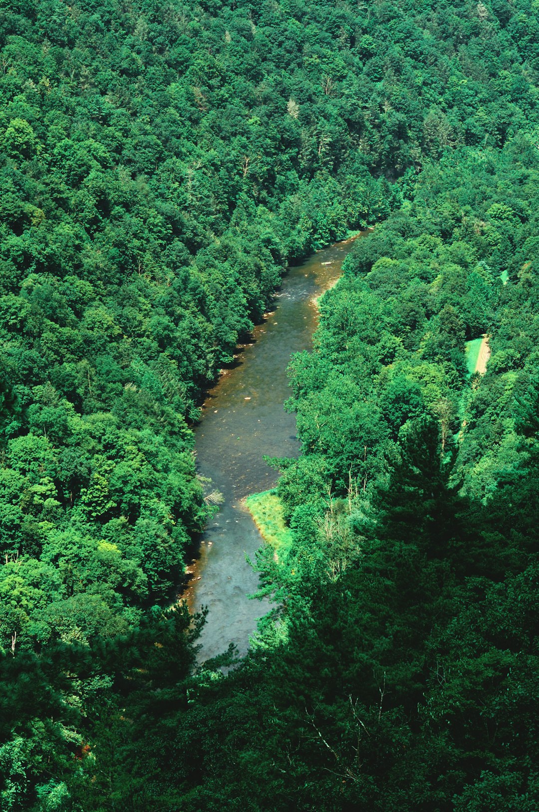 a river running through a lush green forest environment protection clean river green construction earth control